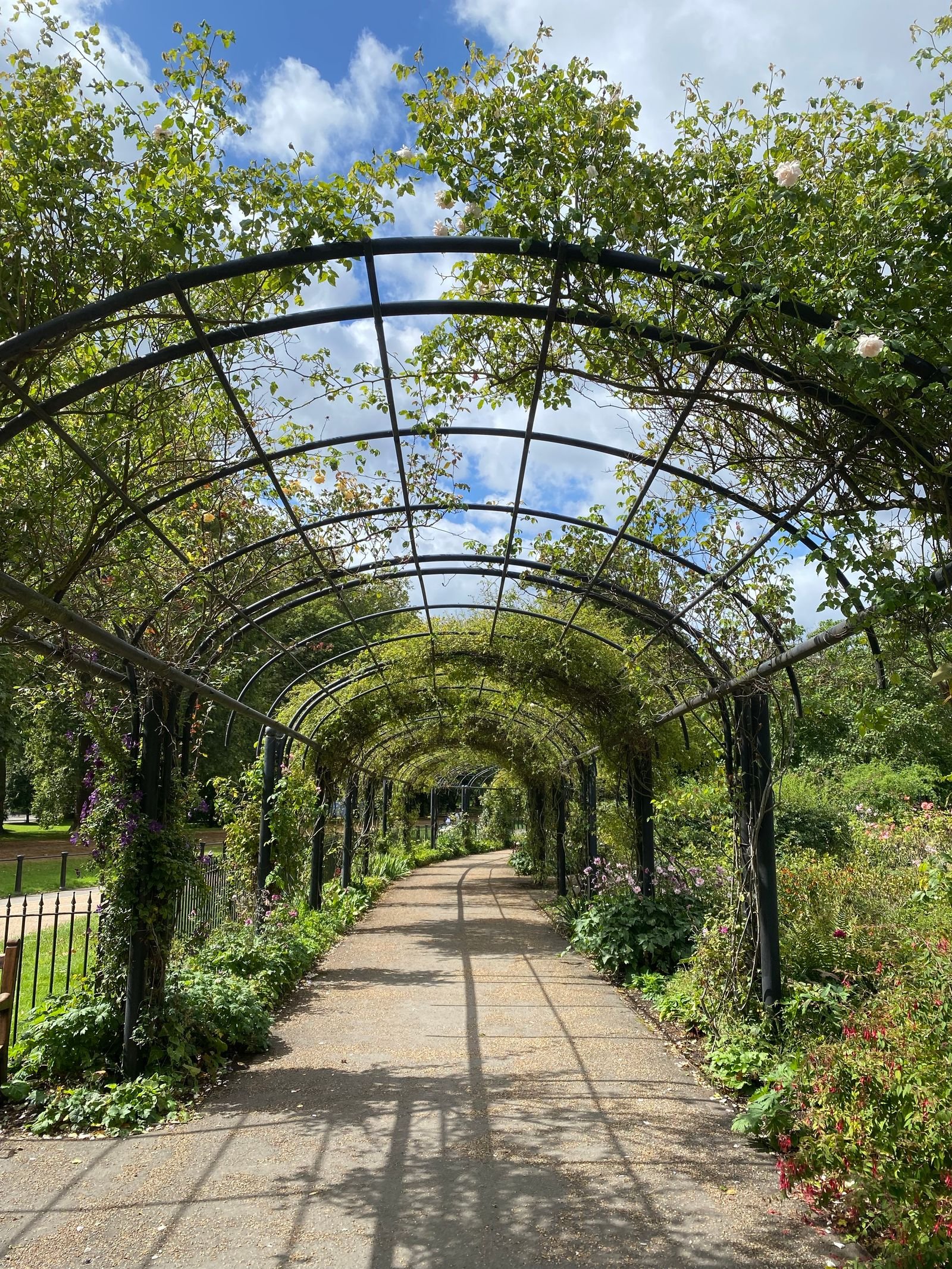 Orangerie d'un palais aux arches de treillage végétal