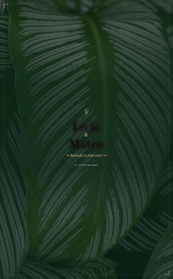 电子婚礼请柬 Canopee，Rio Tropical 系列